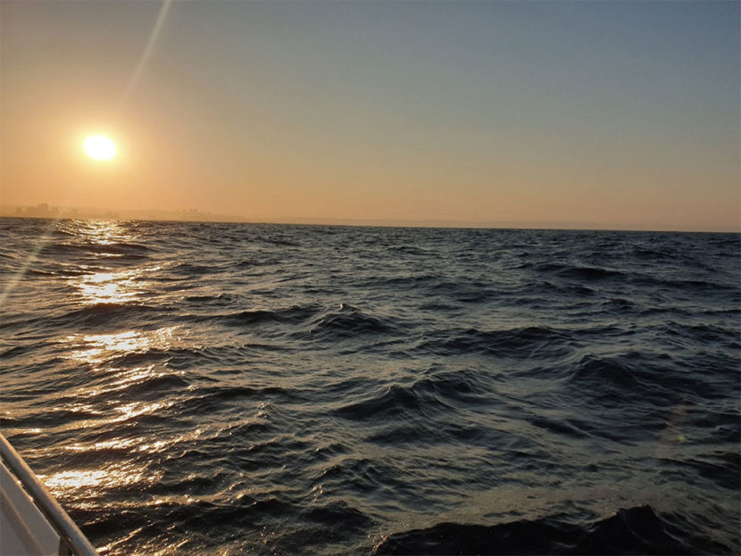The vast open ocean.